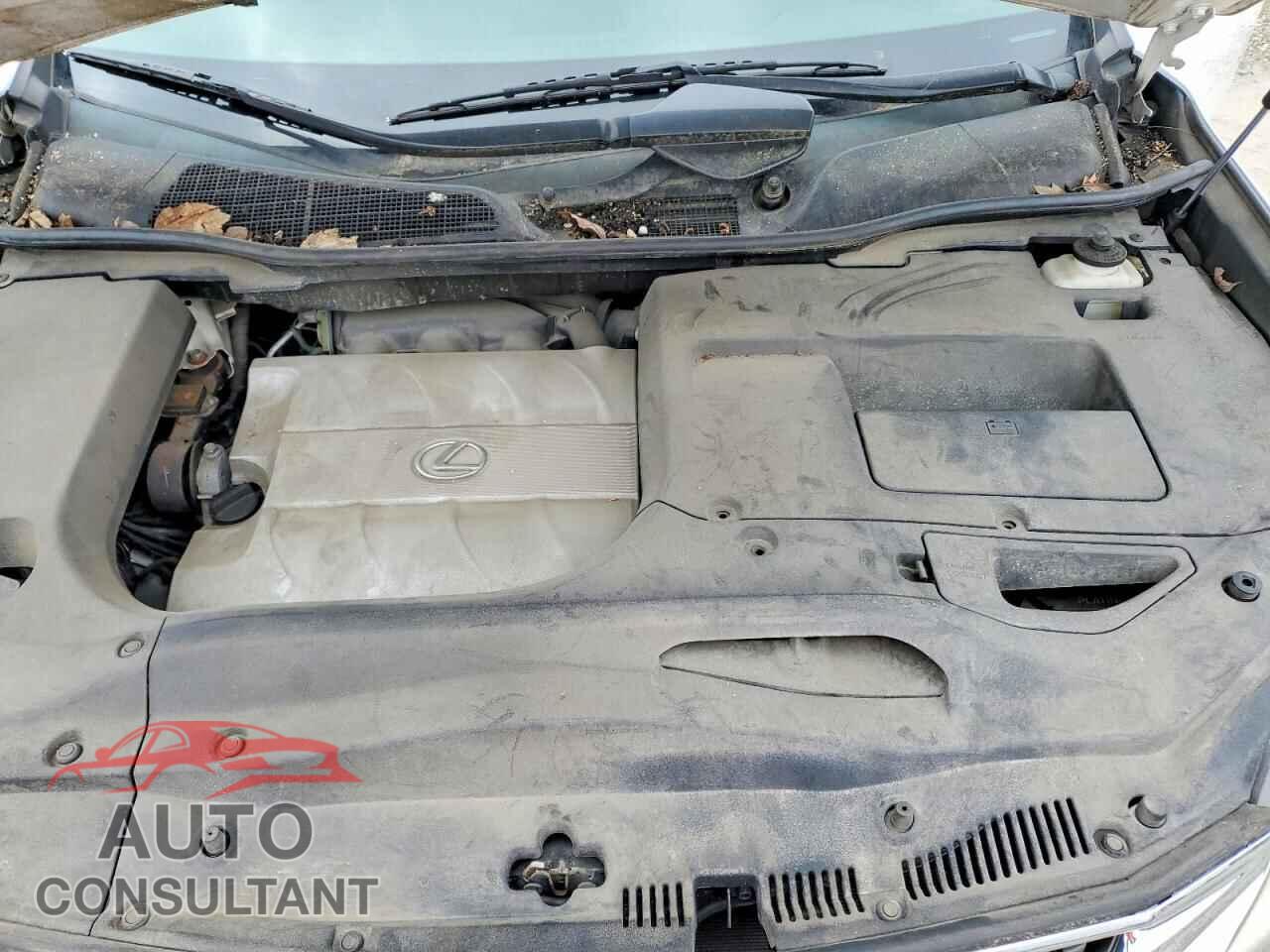 LEXUS RX350 2011 - 2T2BK1BA7BC113043