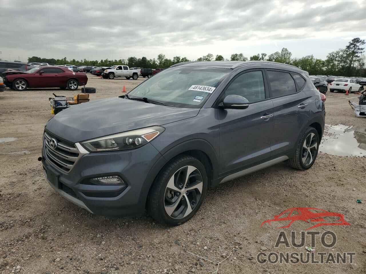 HYUNDAI TUCSON 2017 - KM8J33A20HU355568