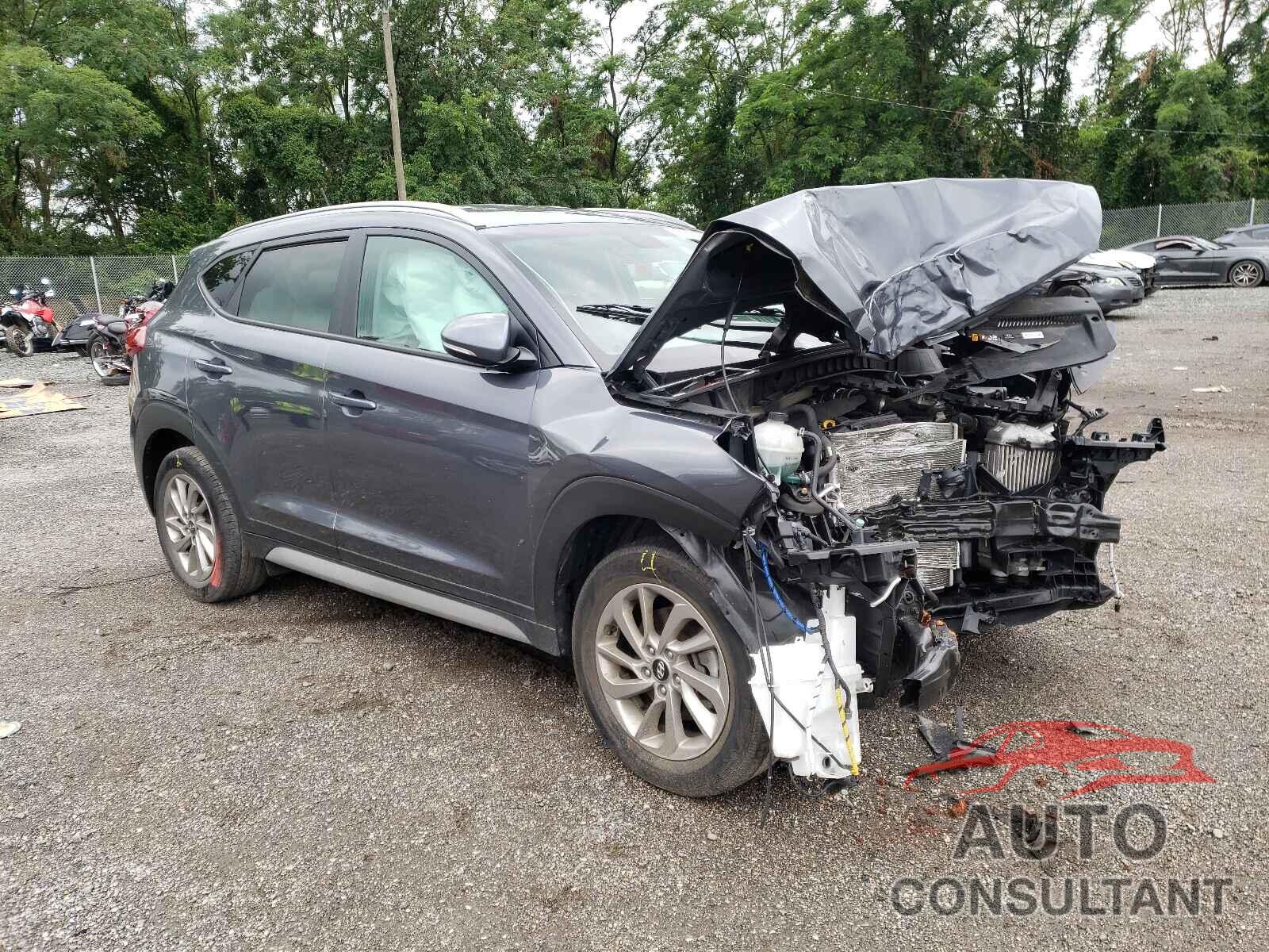 HYUNDAI TUCSON 2017 - KM8J3CA25HU503276