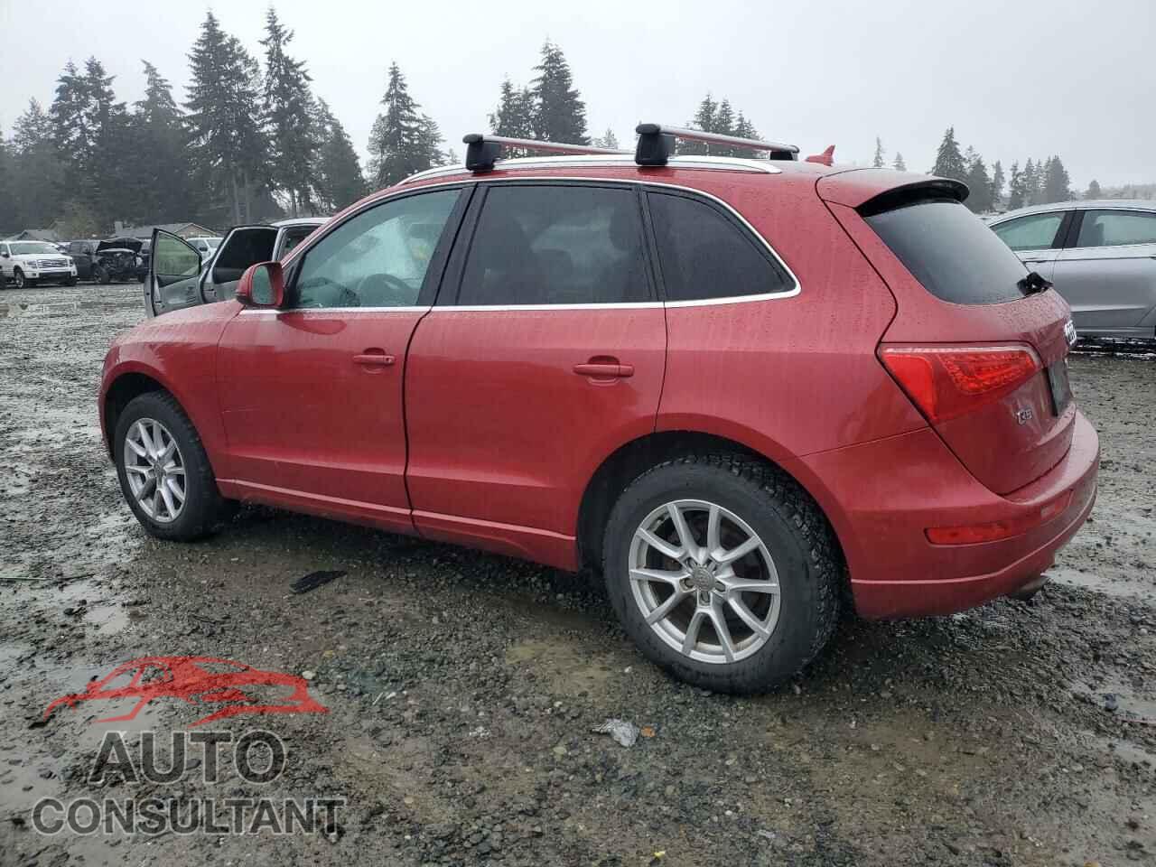 AUDI Q5 2010 - WA1CKAFP8AA071681