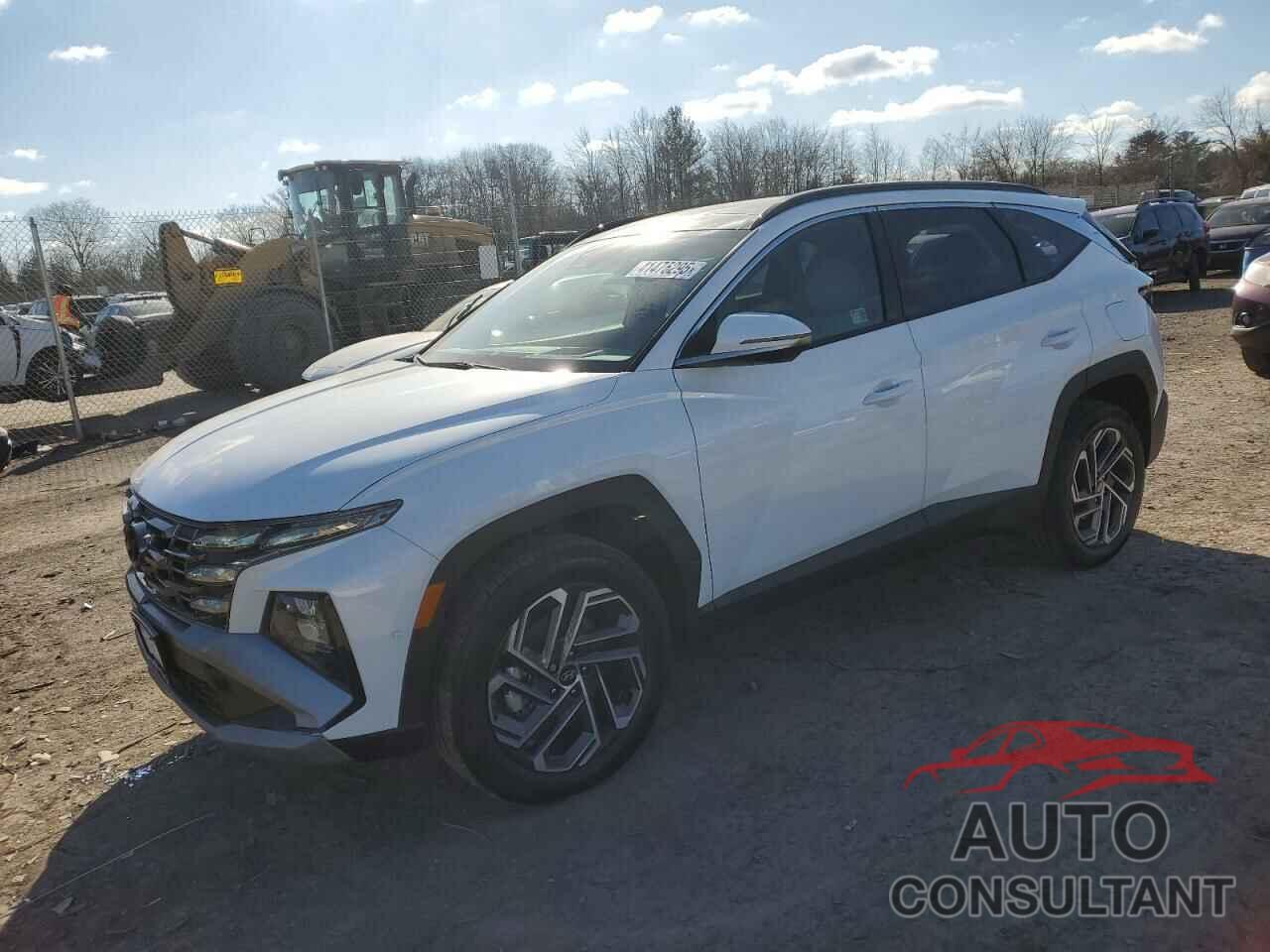 HYUNDAI TUCSON 2025 - KM8JEDD16SU273628
