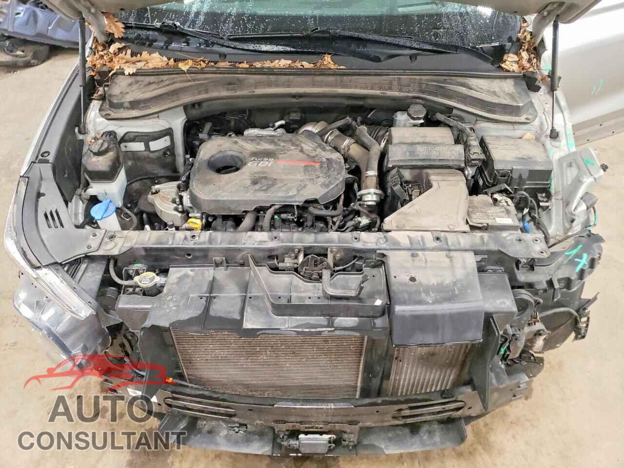 HYUNDAI SANTA FE 2020 - 5NMS5CAAXLH276077