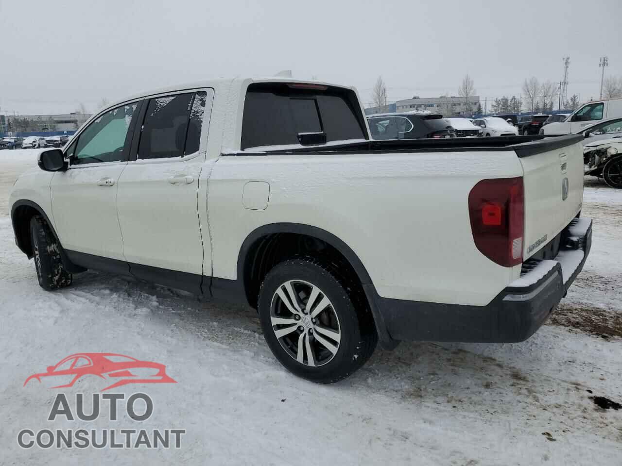 HONDA RIDGELINE 2017 - 5FPYK3F55HB505747