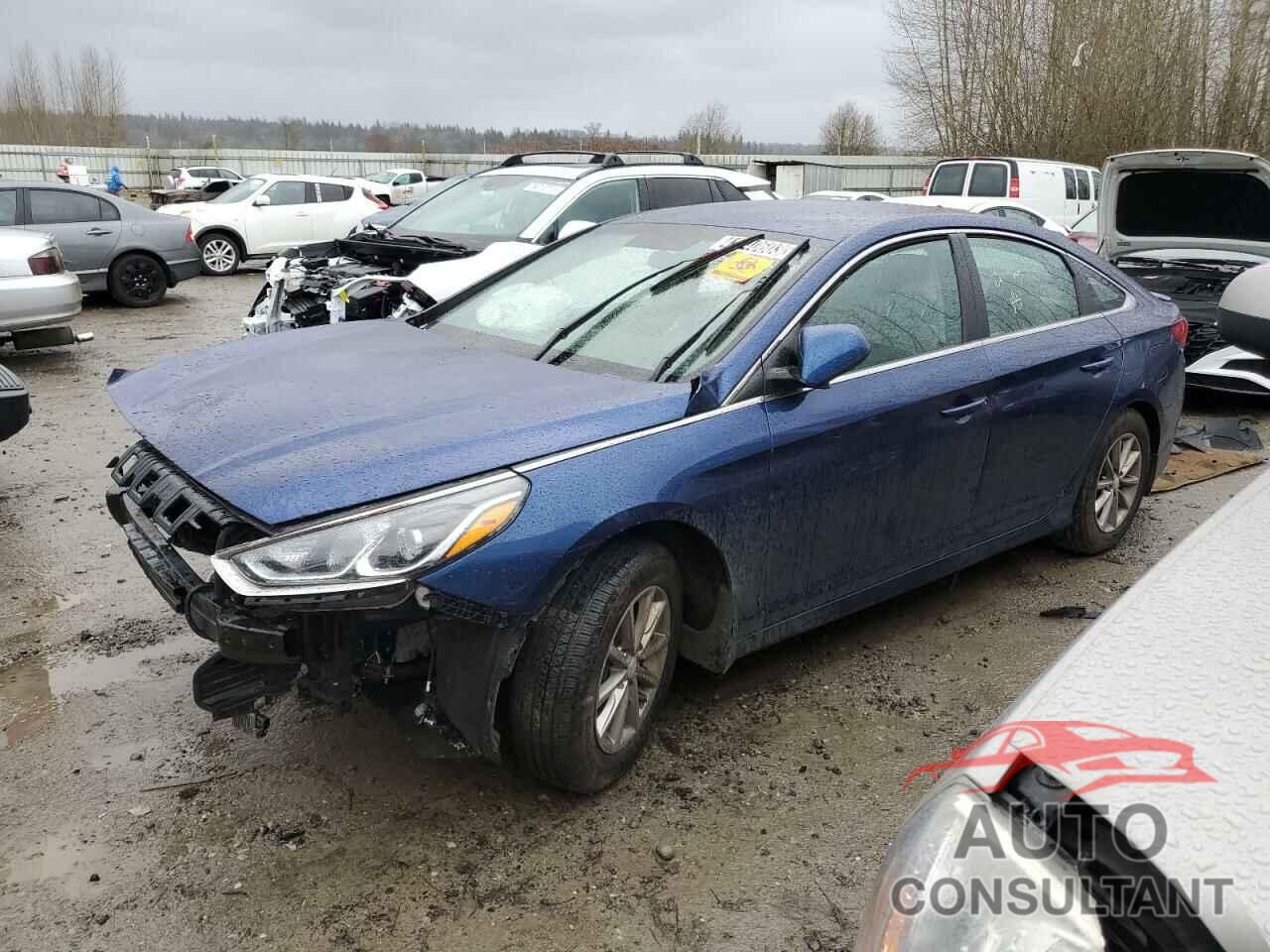 HYUNDAI SONATA 2019 - 5NPE24AF9KH732823