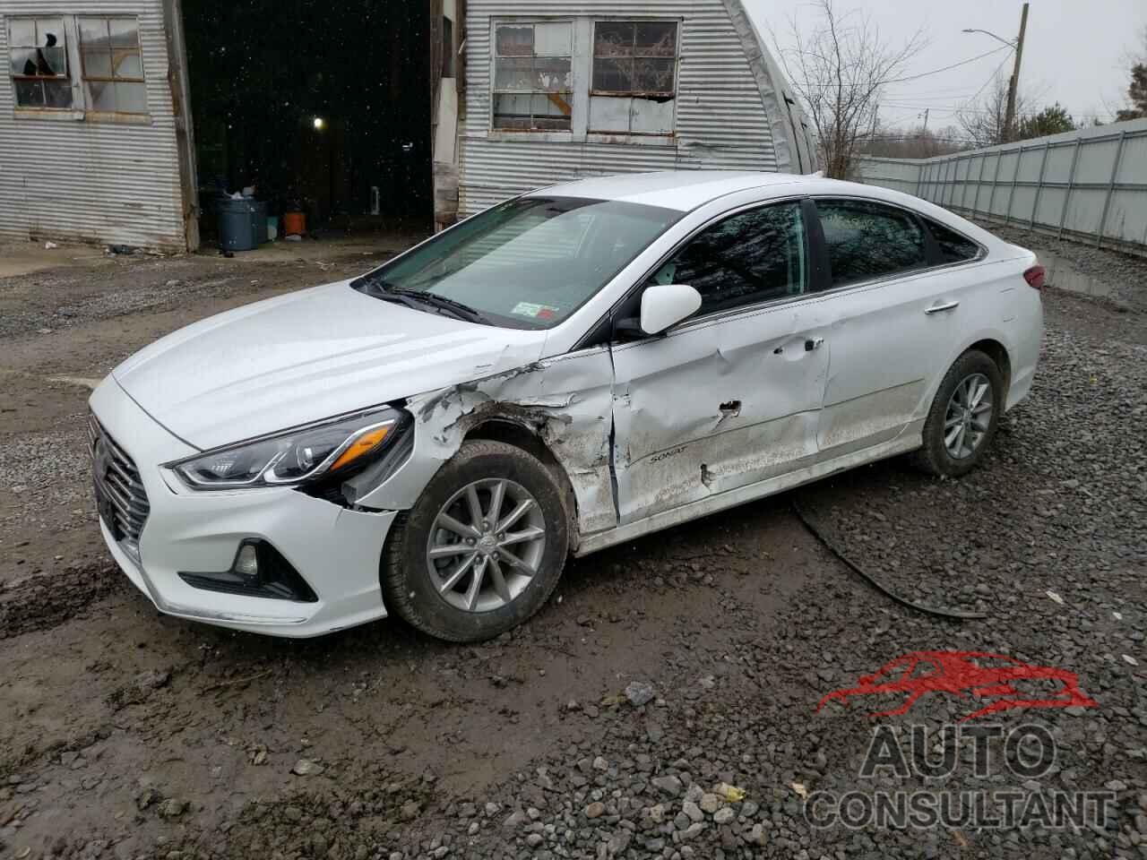 HYUNDAI SONATA 2019 - 5NPE24AF8KH761116