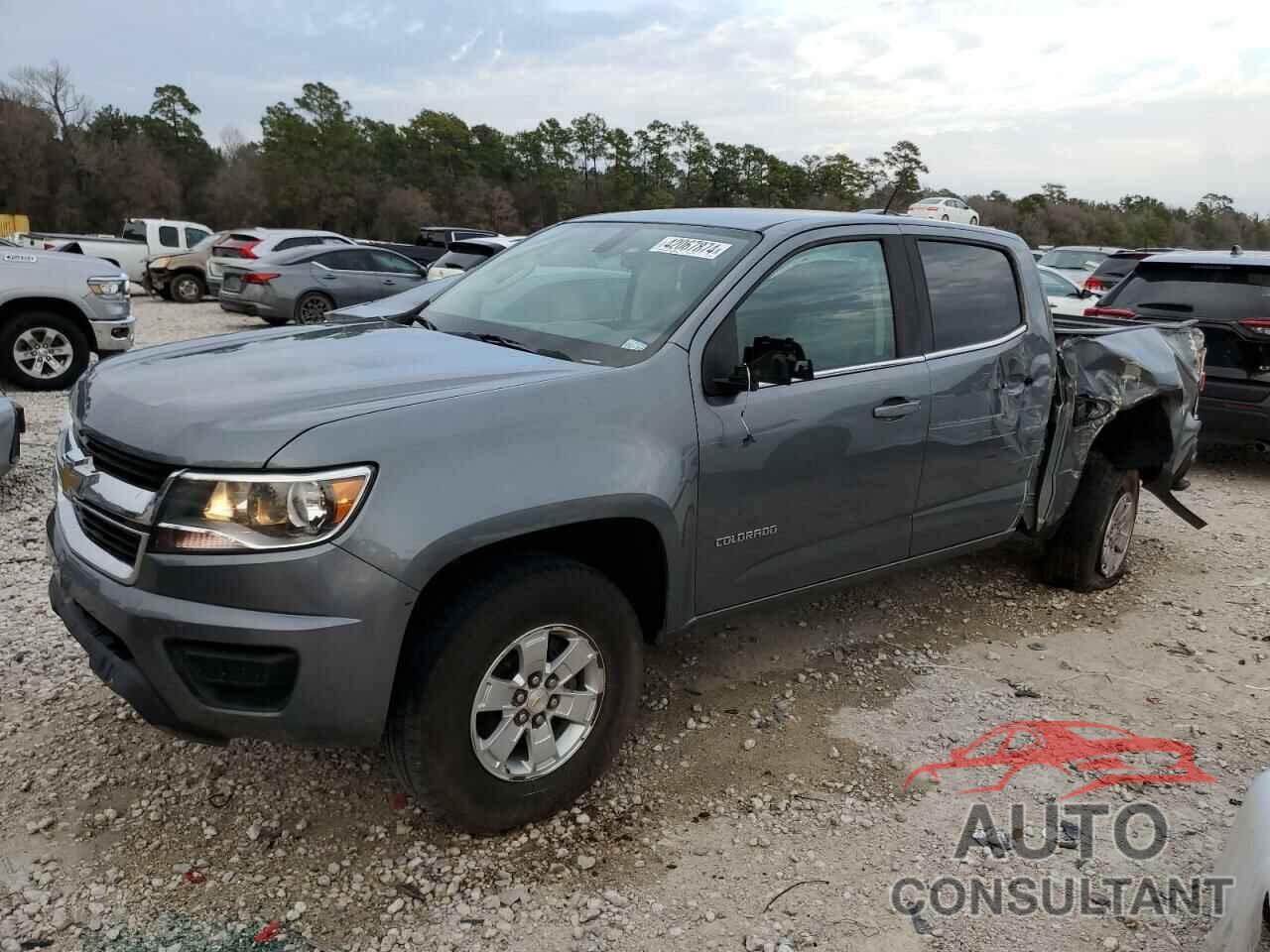 CHEVROLET COLORADO 2019 - 1GCGSBEN8K1322696