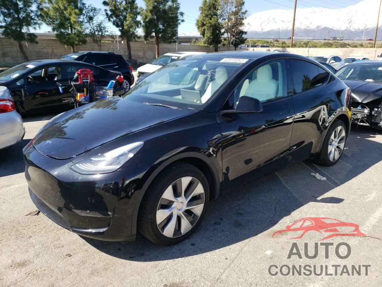 TESLA MODEL Y 2021 - 5YJYGDEE2MF240491