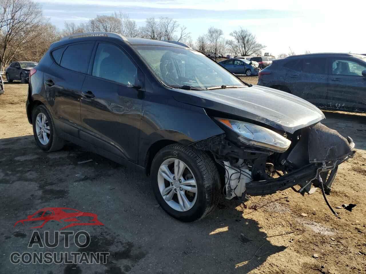 HYUNDAI TUCSON 2013 - KM8JUCAC2DU710823