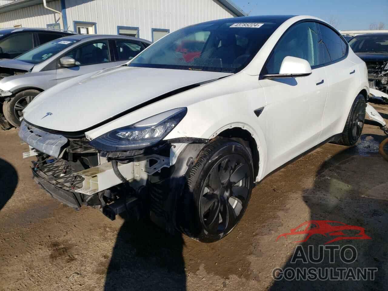 TESLA MODEL Y 2021 - 5YJYGDEE9MF231707