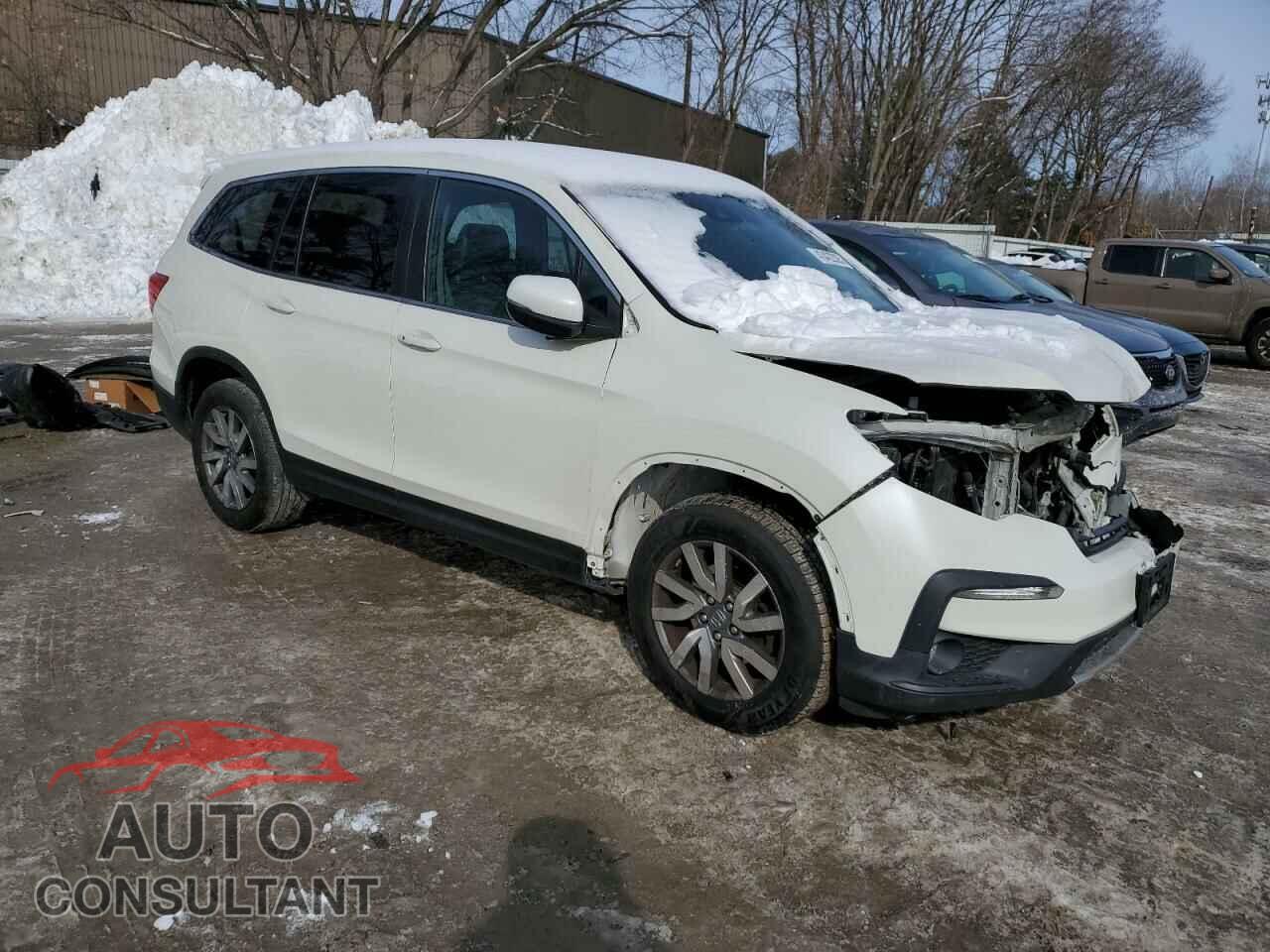 HONDA PILOT 2019 - 5FNYF6H5XKB084238