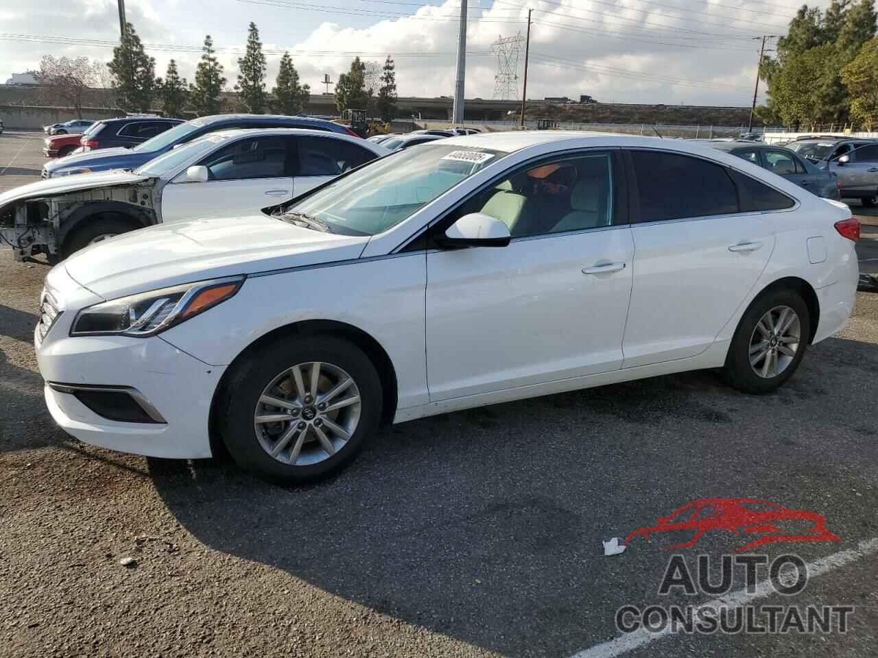 HYUNDAI SONATA 2017 - 5NPE24AF6HH518039
