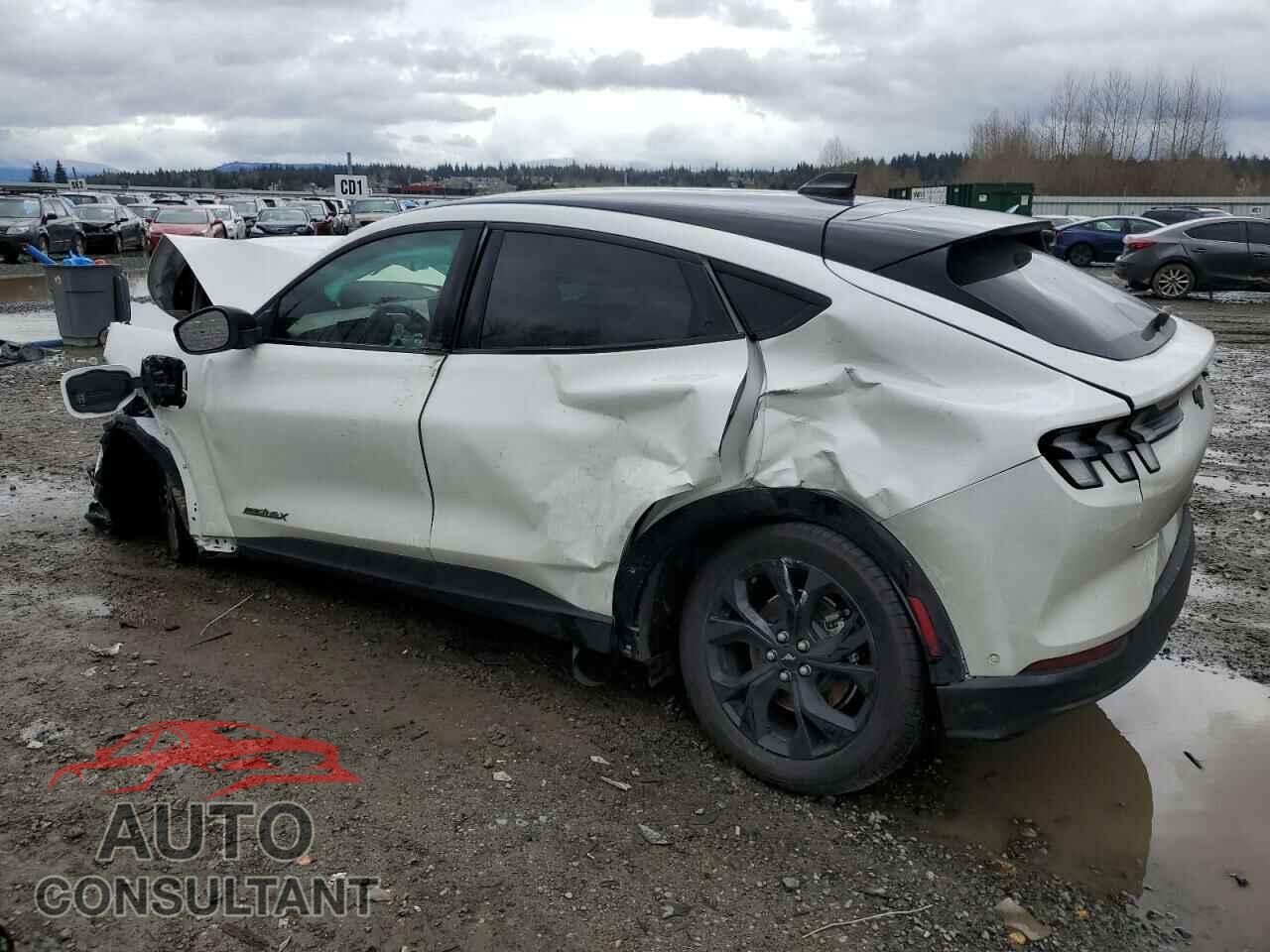 FORD MUSTANG 2023 - 3FMTK3SUXPMA28075
