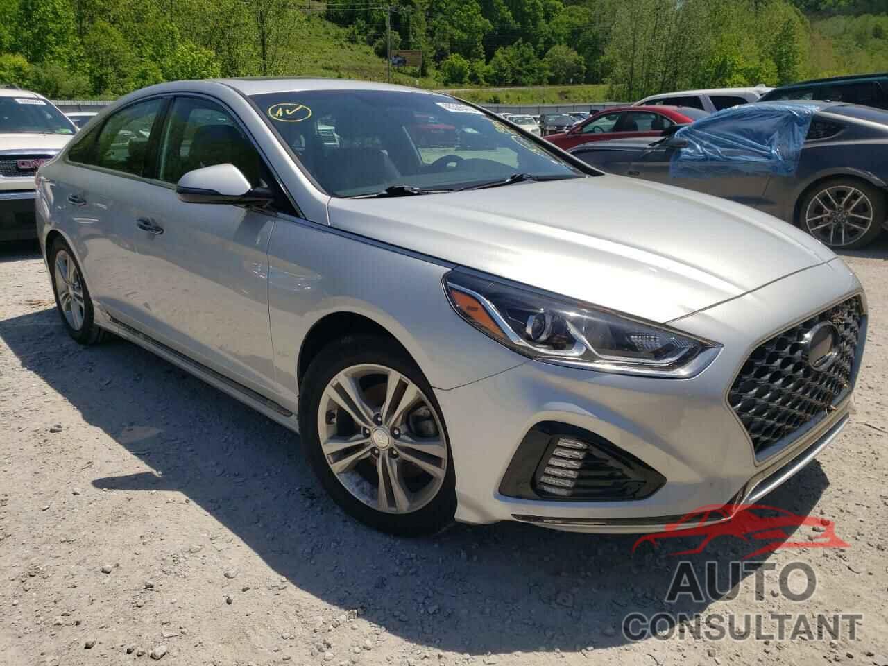 HYUNDAI SONATA 2018 - 5NPE34AF5JH630639