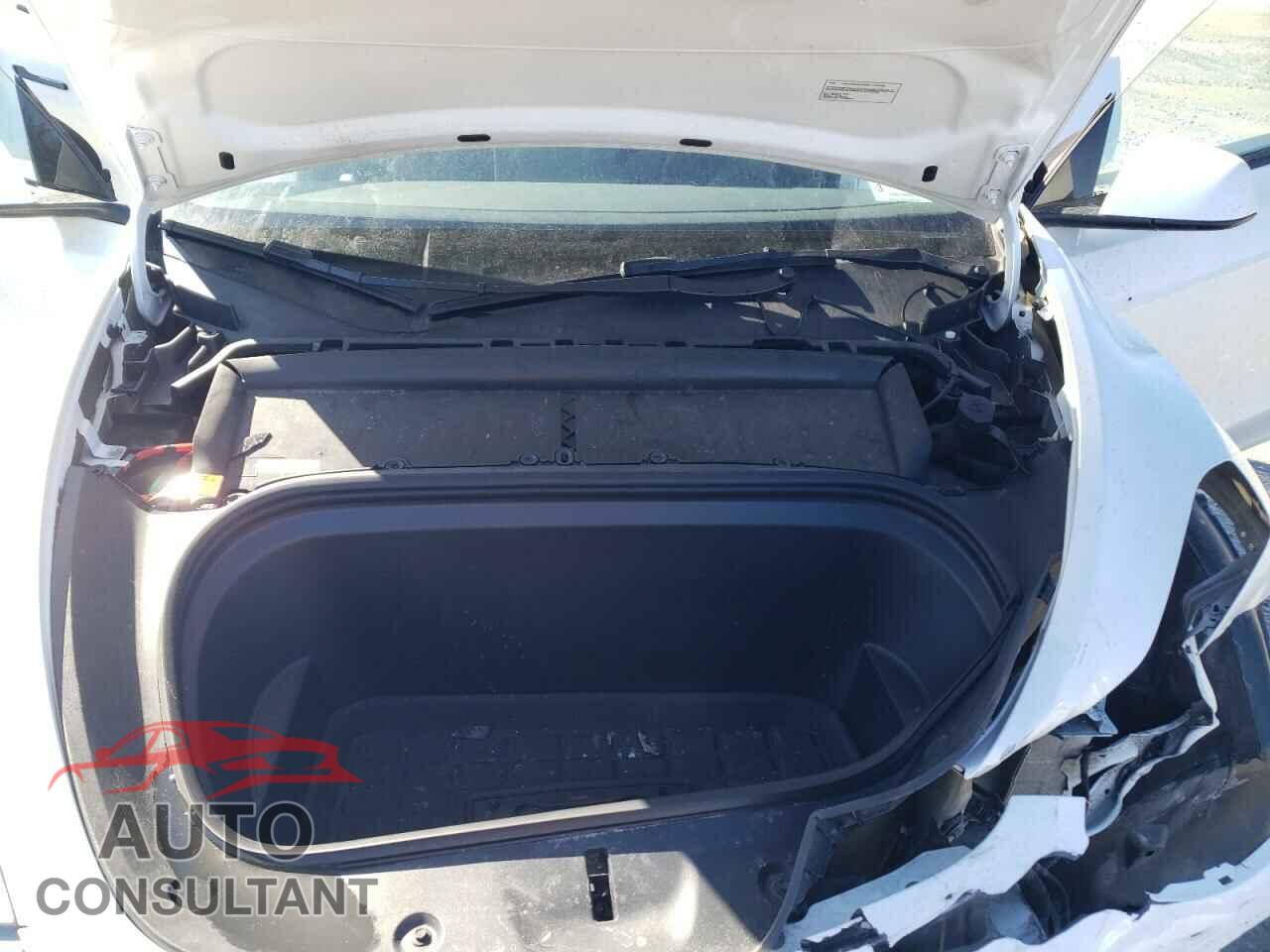TESLA MODEL Y 2023 - 7SAYGDEF6PF785870