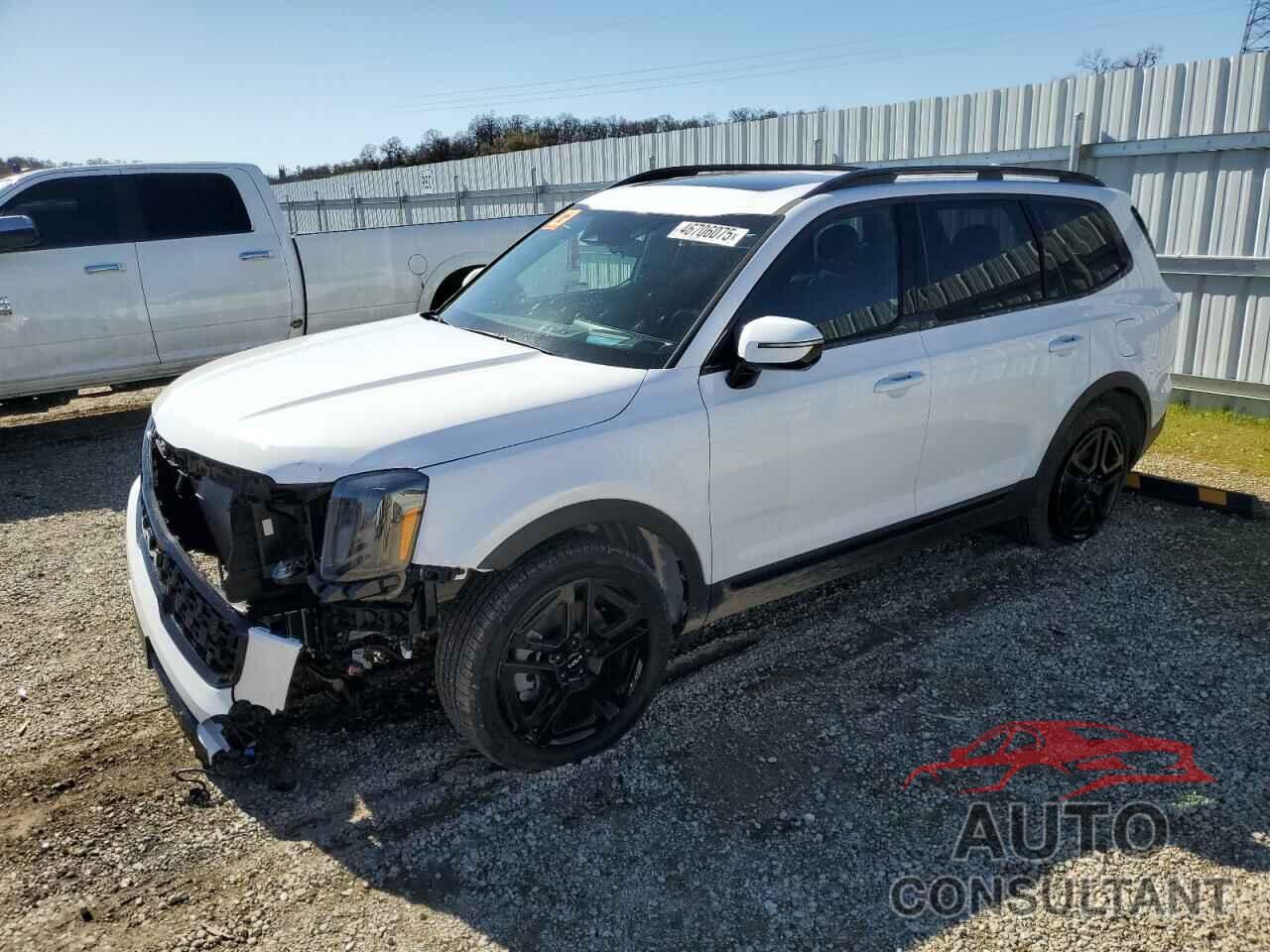 KIA TELLURIDE 2024 - 5XYP5DGC1RG528869