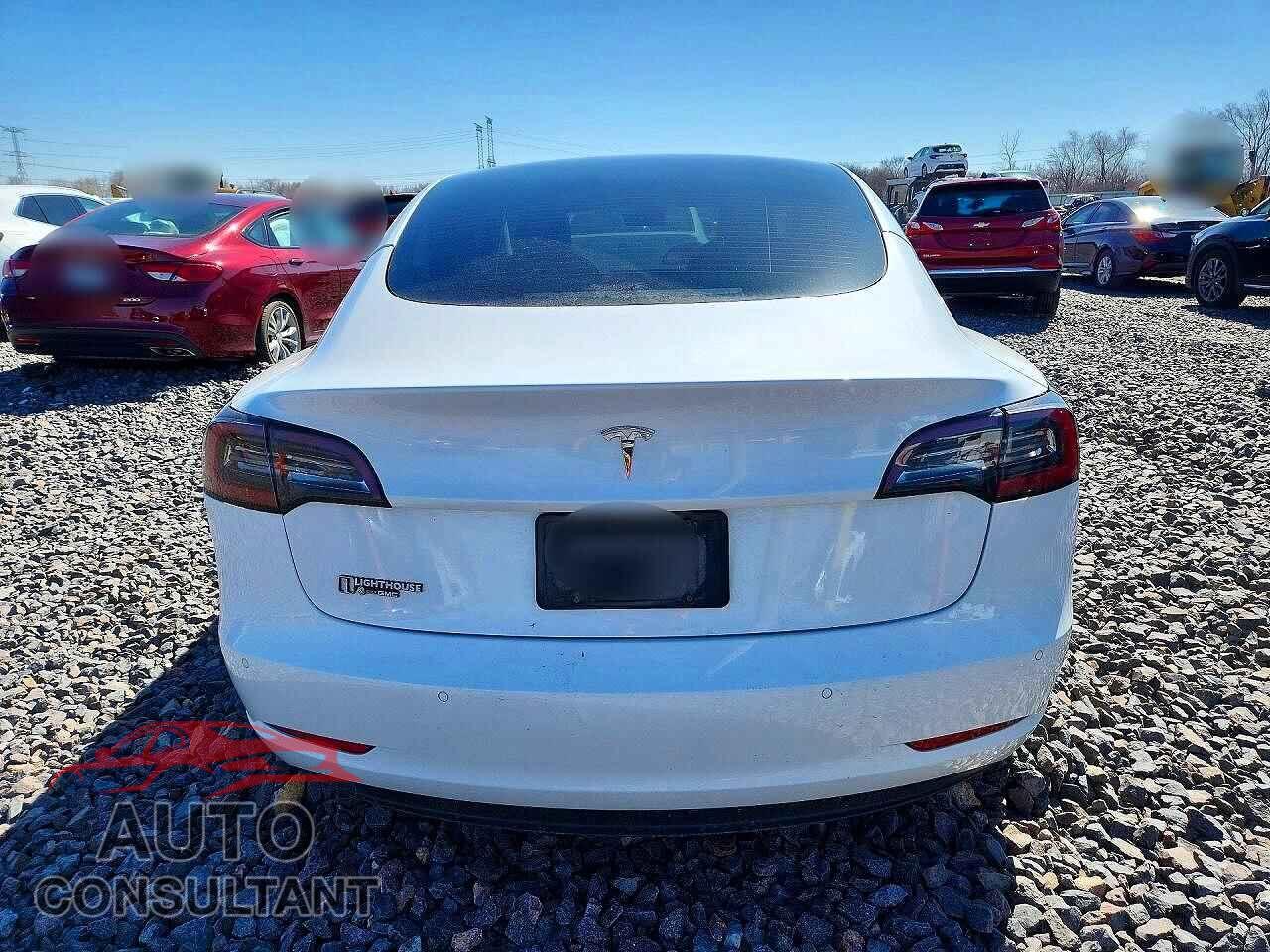 TESLA MODEL 3 2021 - 5YJ3E1EA8MF083593