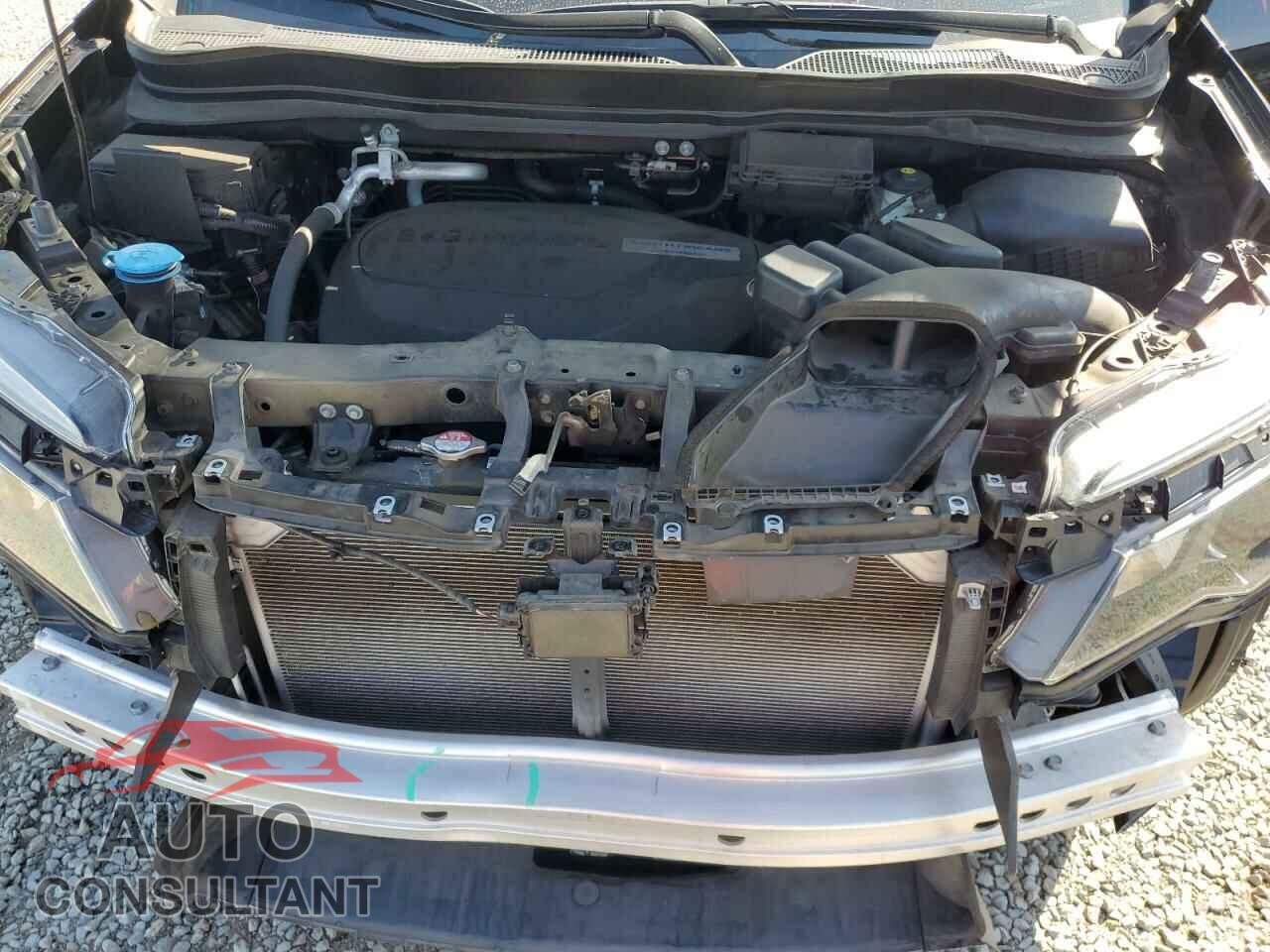 HONDA PILOT 2019 - 5FNYF5H51KB047038