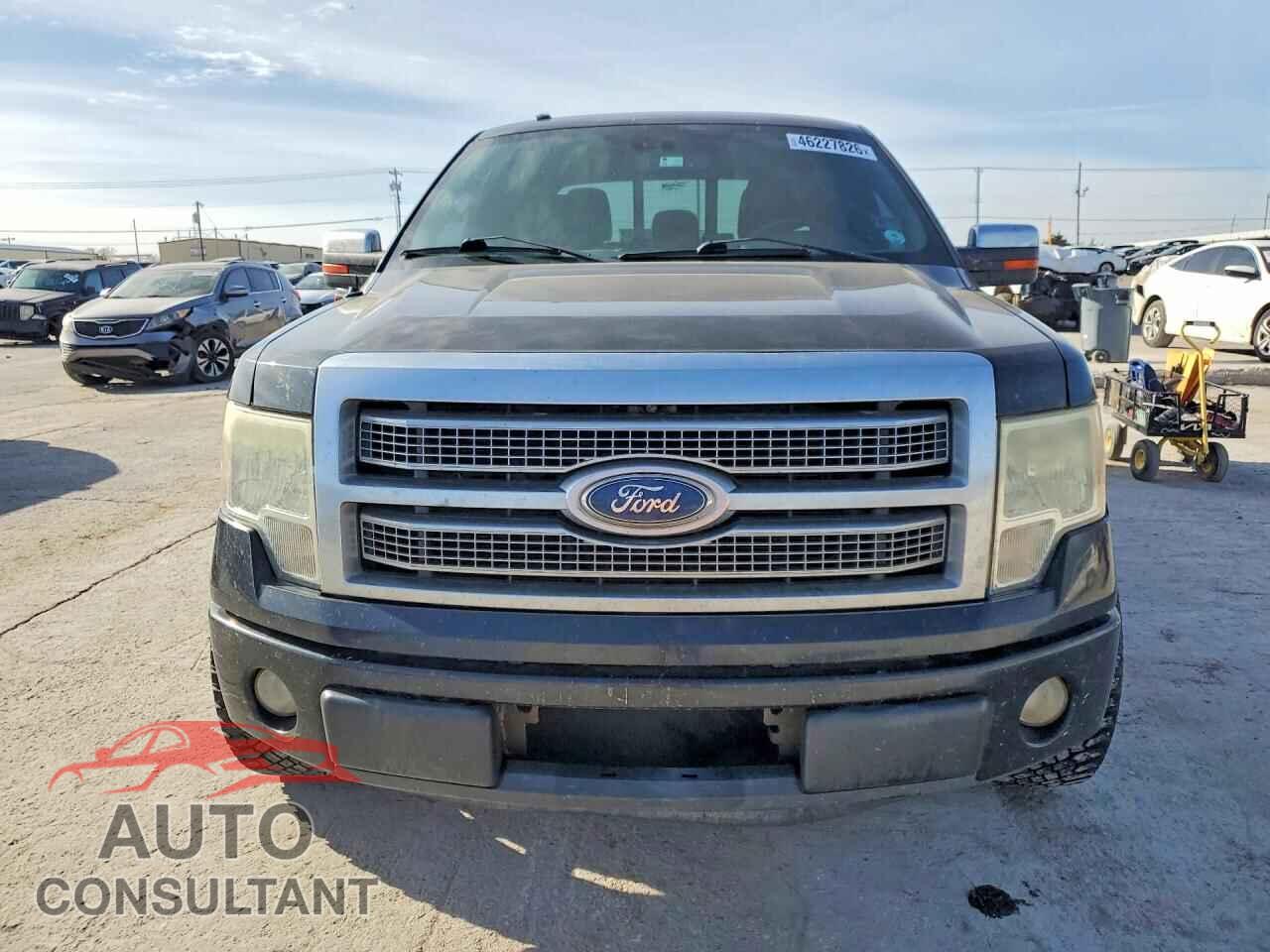 FORD F150 2011 - 1FTFW1CF9BFC49007