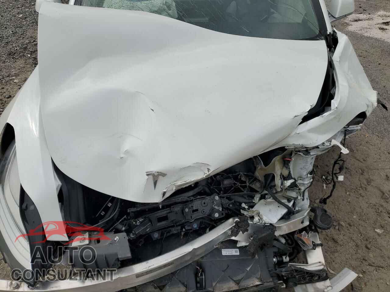 TESLA MODEL 3 2019 - 5YJ3E1EAXKF416874