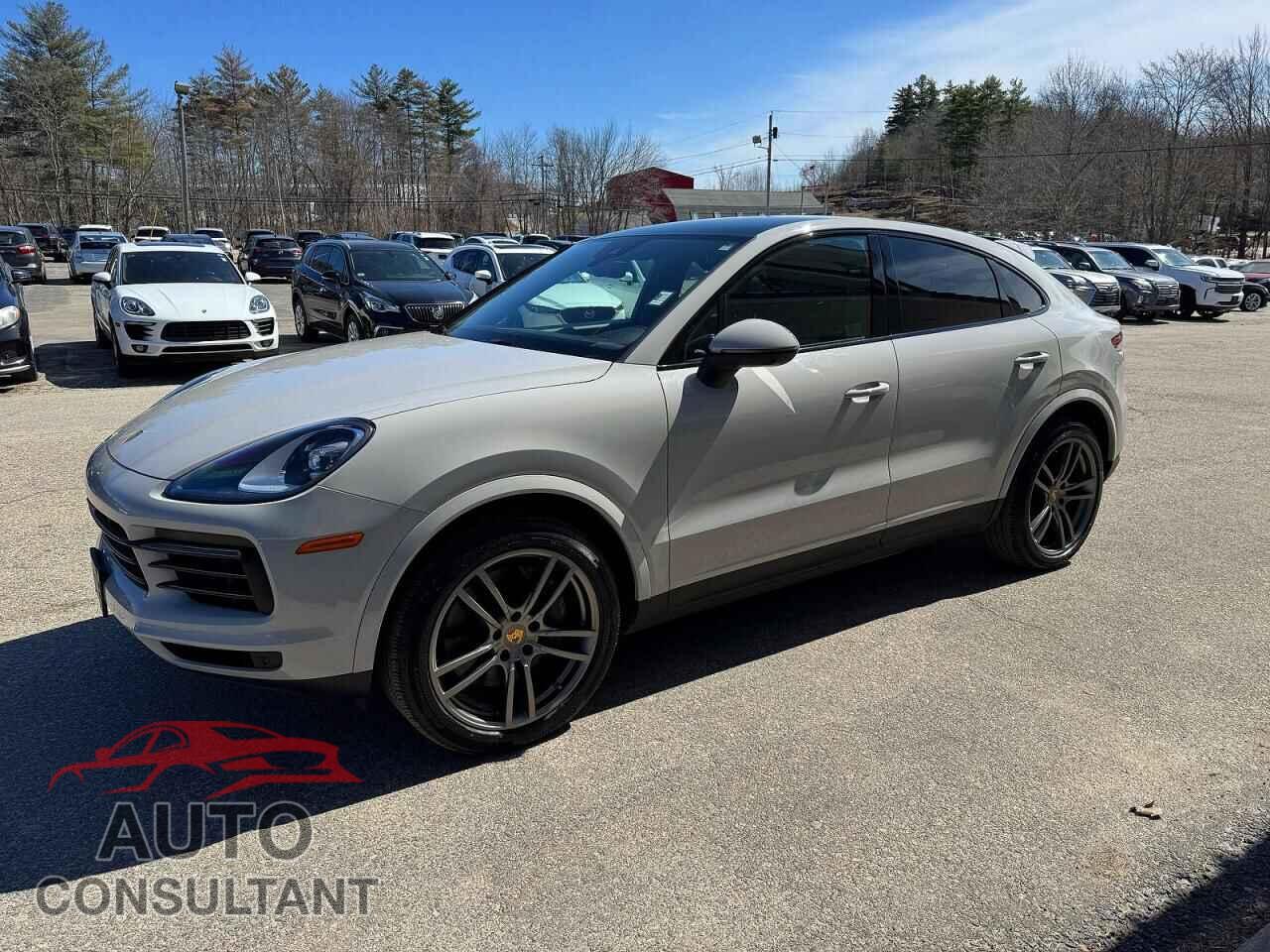 PORSCHE CAYENNE 2023 - WP1BA2AY6PDA25539