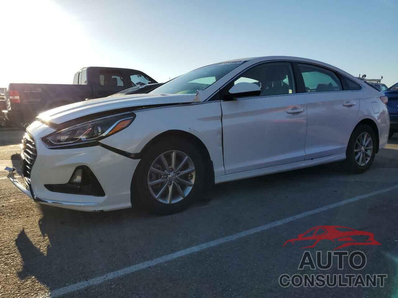 HYUNDAI SONATA 2019 - 5NPE24AF9KH741277