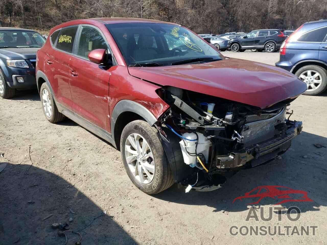 HYUNDAI TUCSON 2019 - KM8J2CA49KU044586