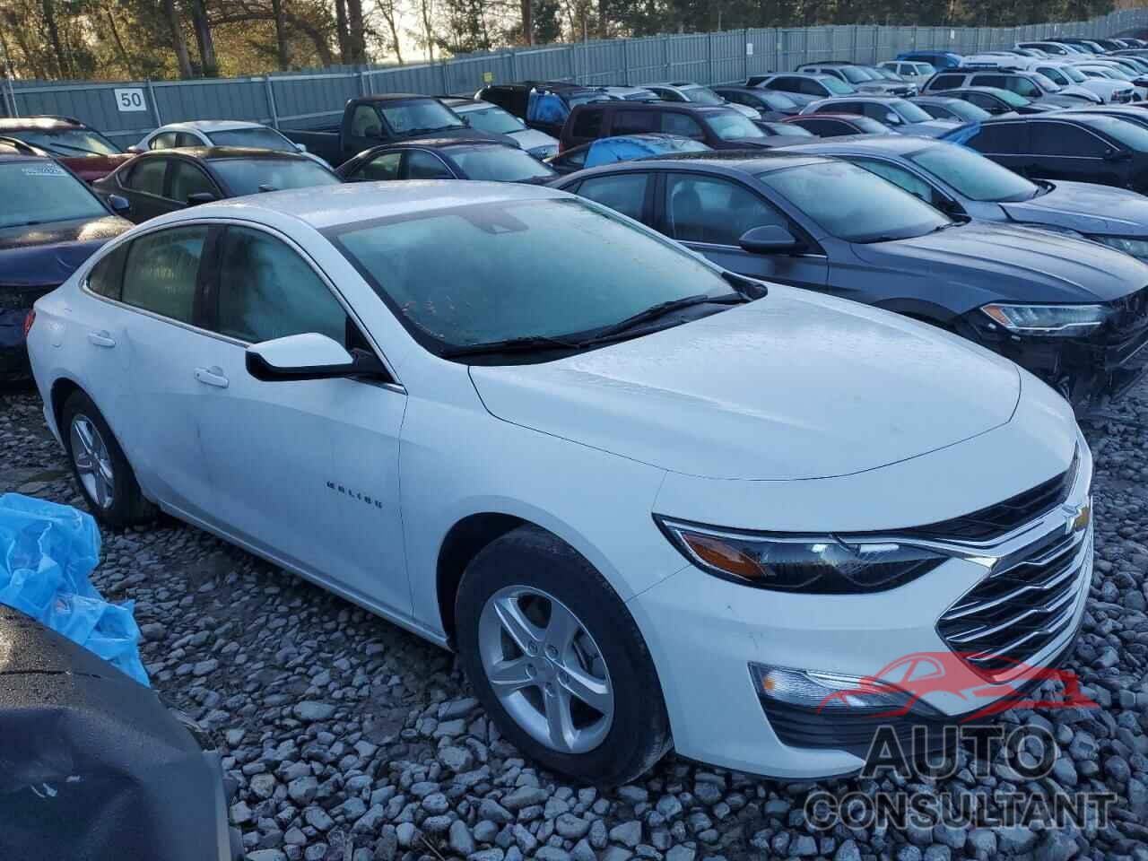 CHEVROLET MALIBU 2021 - 1G1ZC5ST1MF087471