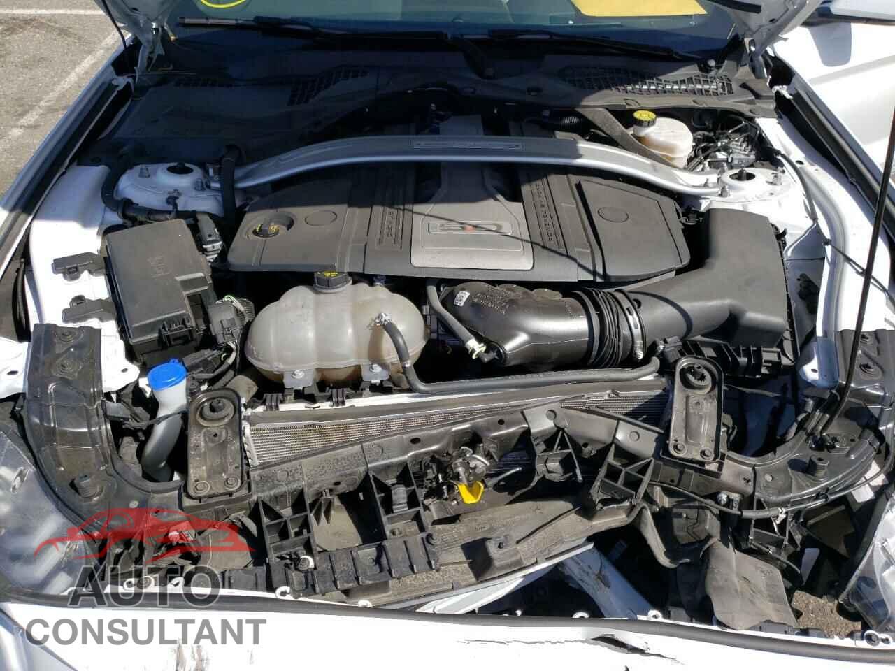 FORD MUSTANG 2020 - 1FA6P8CF3L5125043
