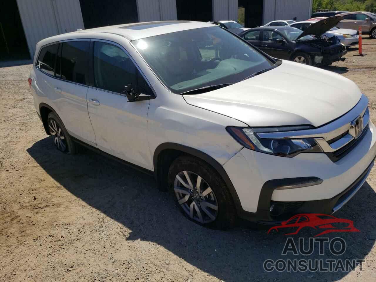 HONDA PILOT 2019 - 5FNYF5H55KB033157