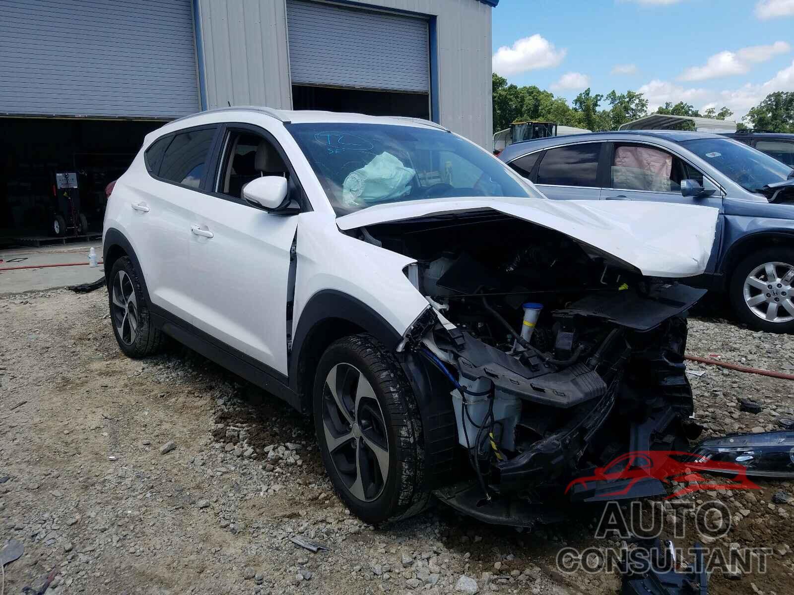 HYUNDAI TUCSON 2016 - KM8J33A23GU189383