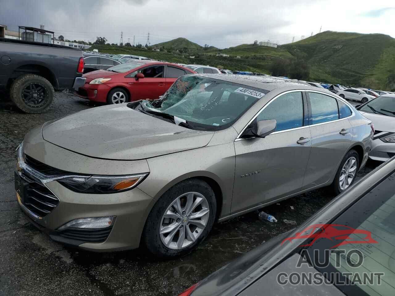CHEVROLET MALIBU 2022 - 1G1ZD5ST2NF144341