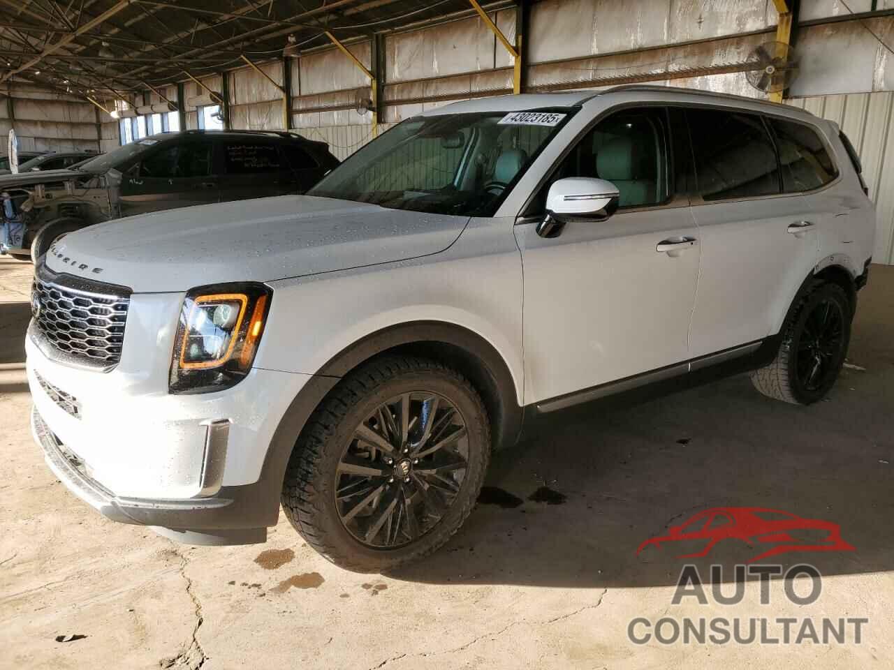 KIA TELLURIDE 2020 - 5XYP5DHC8LG038158