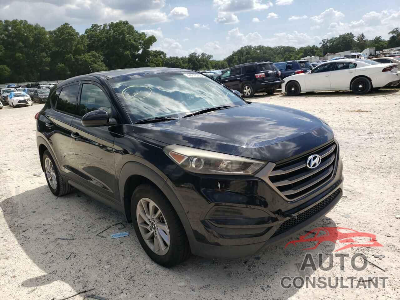 HYUNDAI TUCSON 2016 - KM8J23A42GU217324