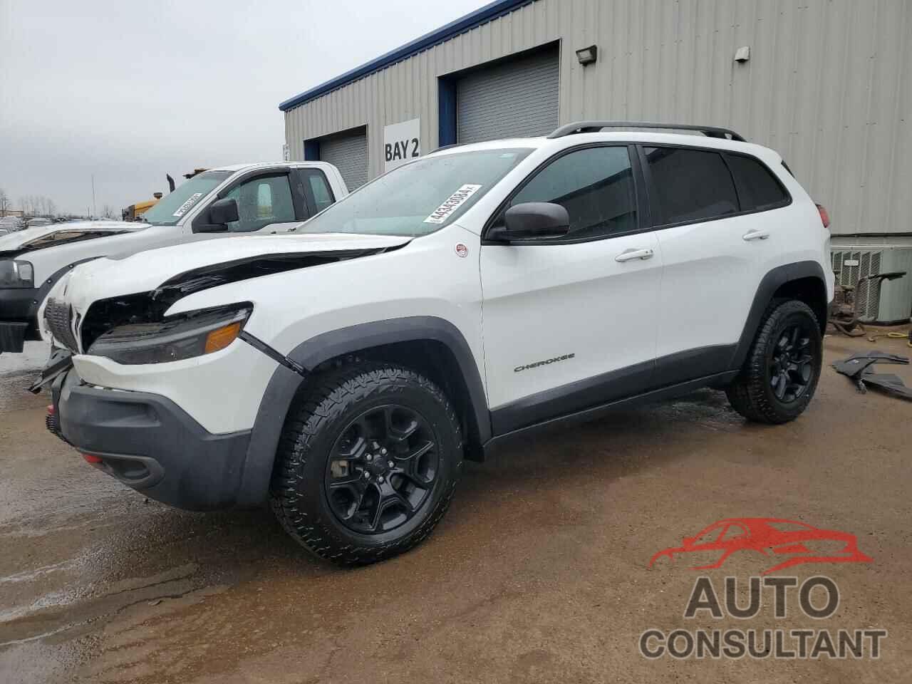 JEEP CHEROKEE 2019 - 1C4PJMBX6KD200227