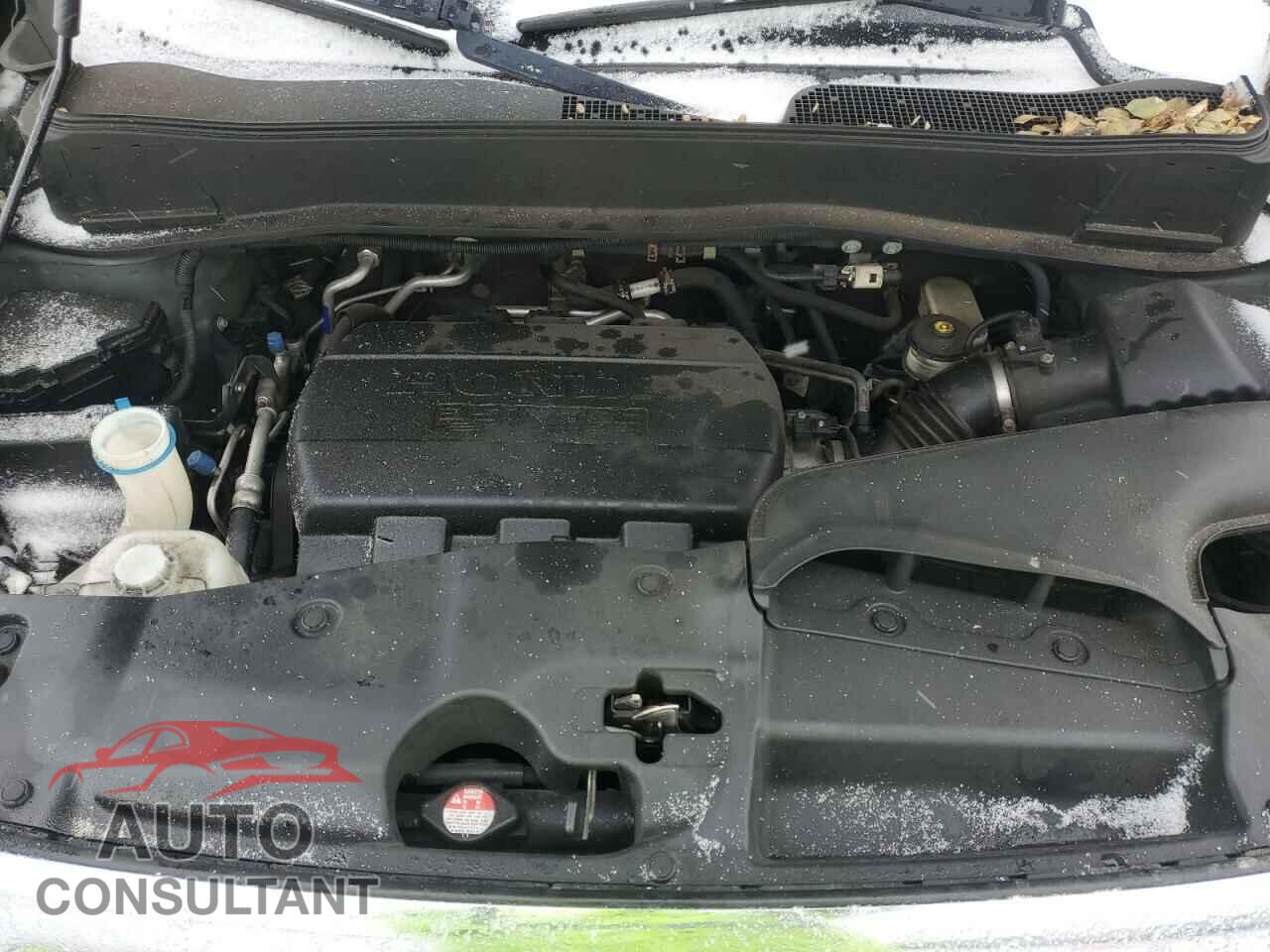 HONDA PILOT 2011 - 5FNYF4H58BB008201