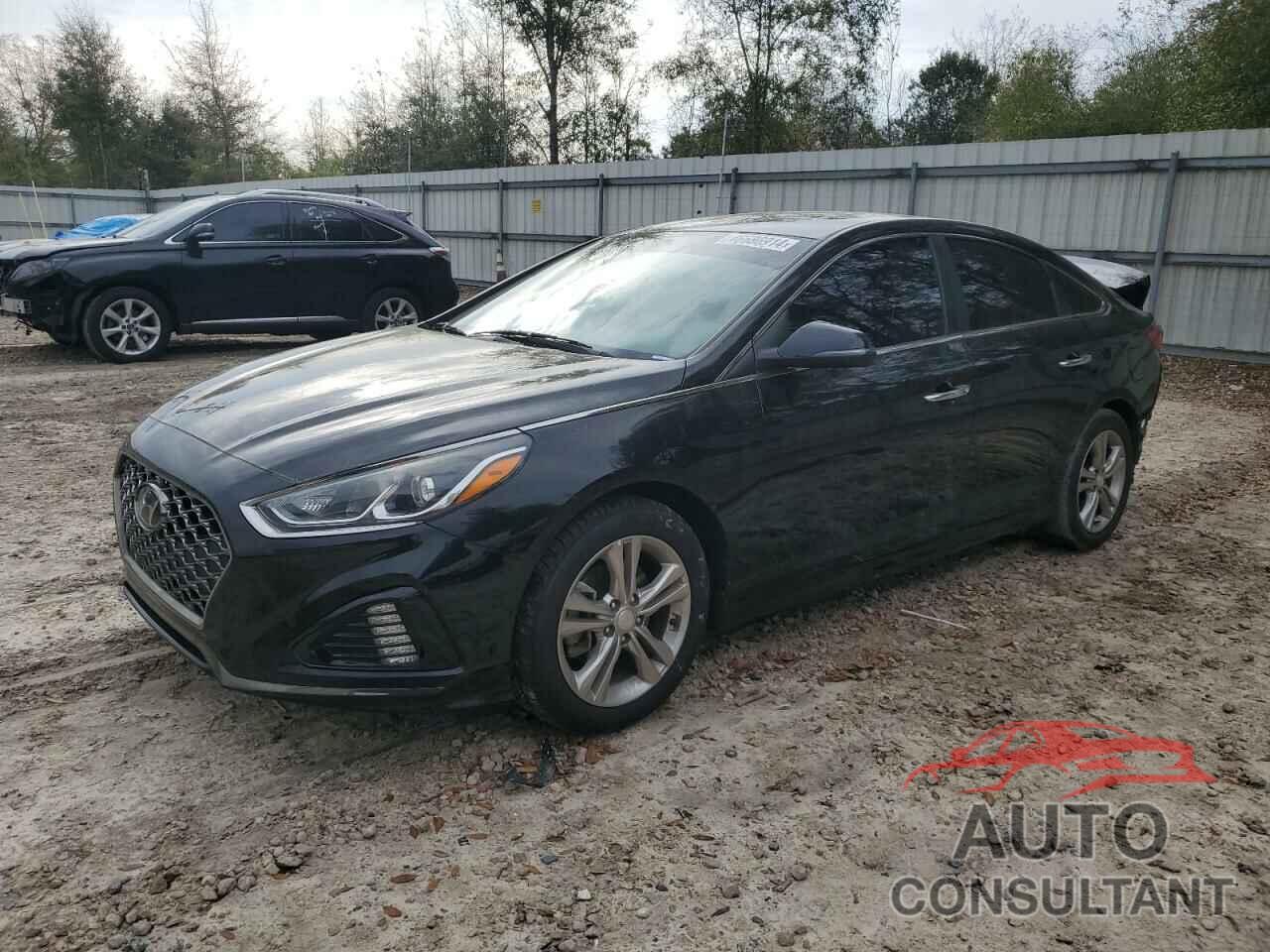 HYUNDAI SONATA 2019 - 5NPE34AF3KH749677