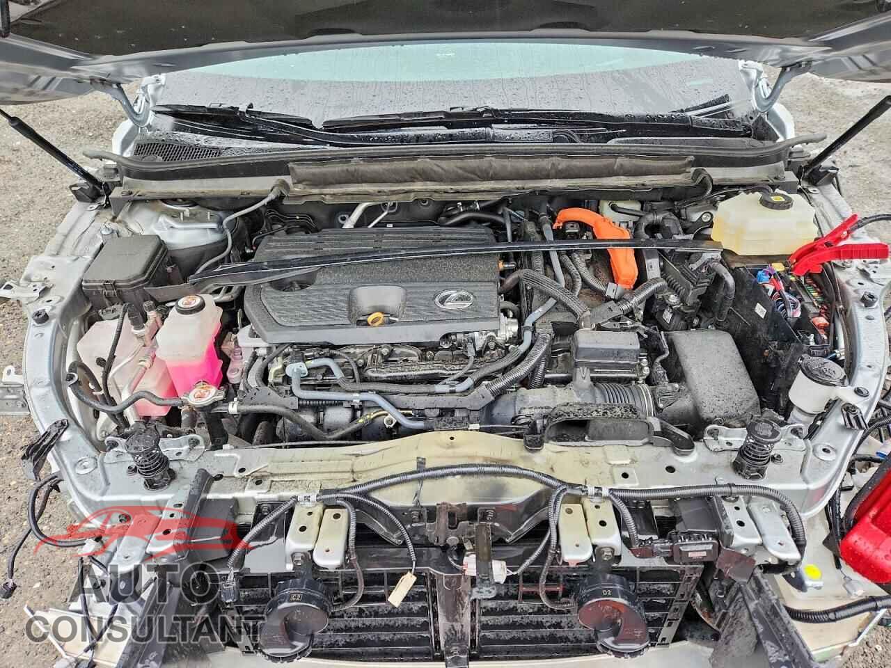 LEXUS UNKNOWN 2024 - 2T2BBMCA0RC041273