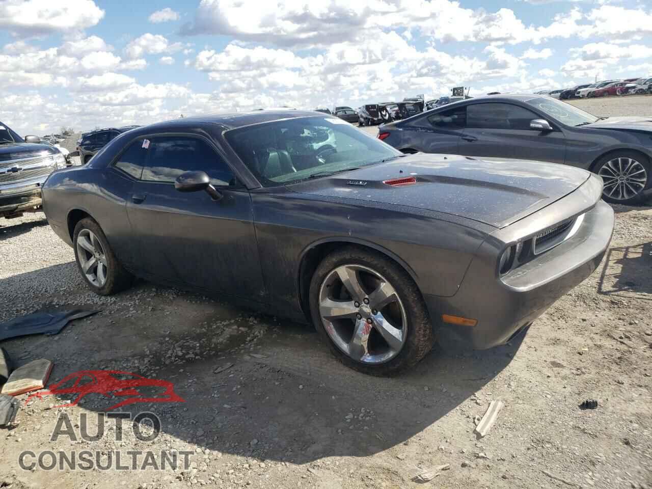 DODGE CHALLENGER 2013 - 2C3CDYBT2DH679671