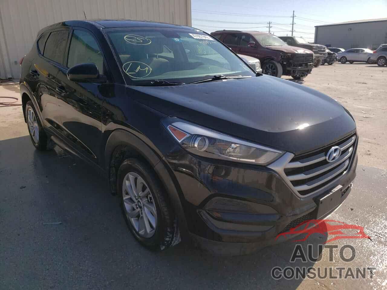 HYUNDAI TUCSON 2017 - KM8J23A44HU490413