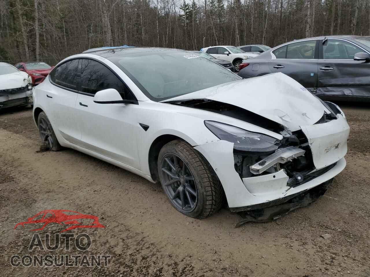TESLA MODEL 3 2022 - 5YJ3E1EA1NF152187