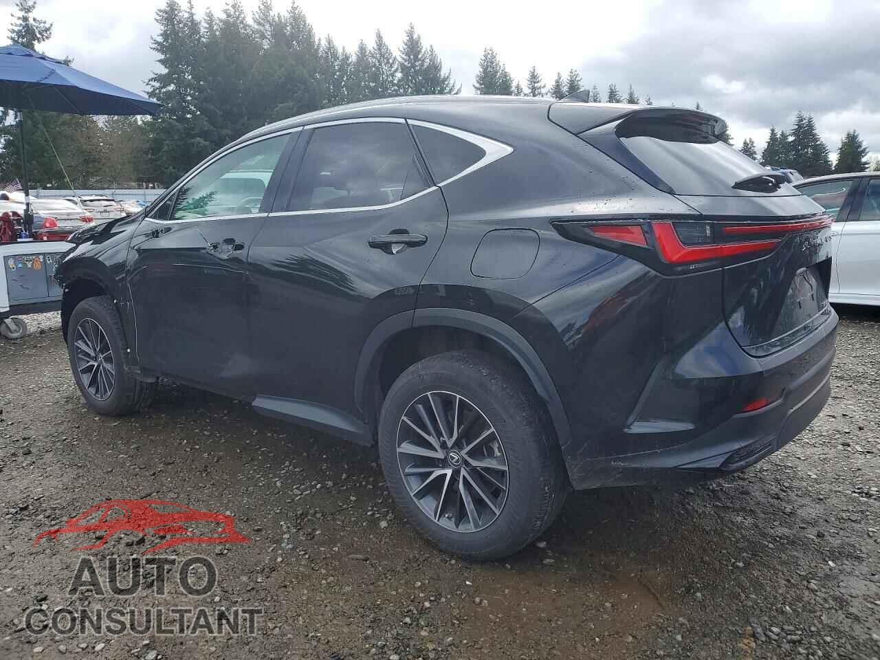 LEXUS NX 2023 - 2T2AKCEZ5PC009778
