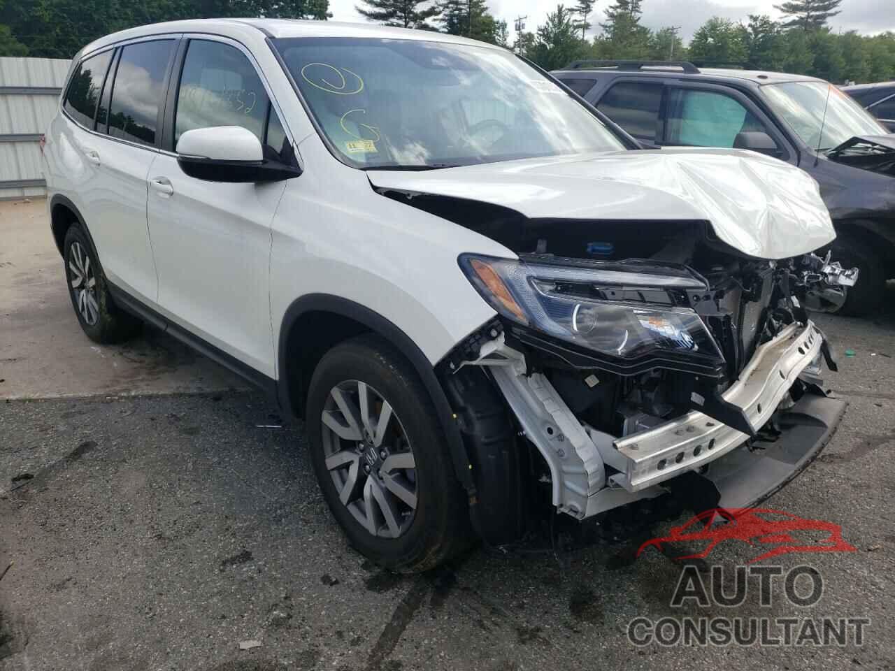 HONDA PILOT 2019 - 5FNYF6H59KB084957