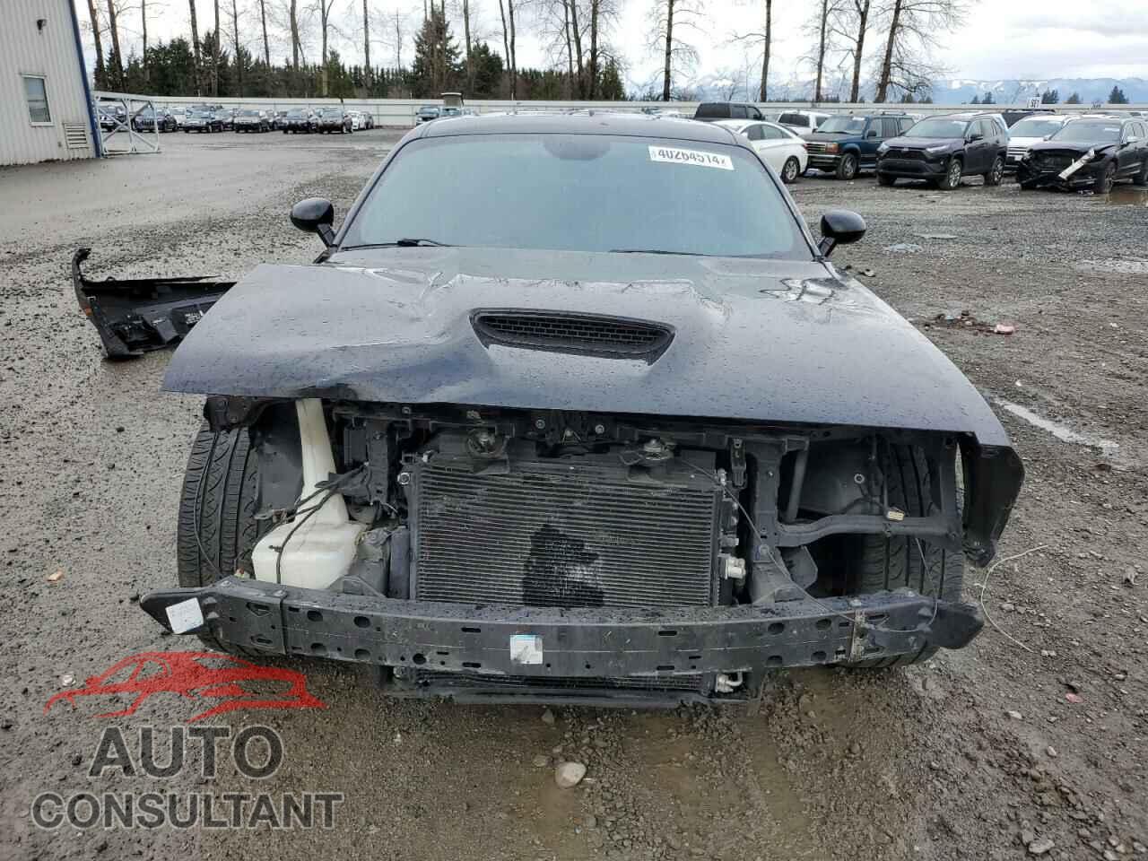 DODGE CHALLENGER 2017 - 2C3CDZDJ9HH558630