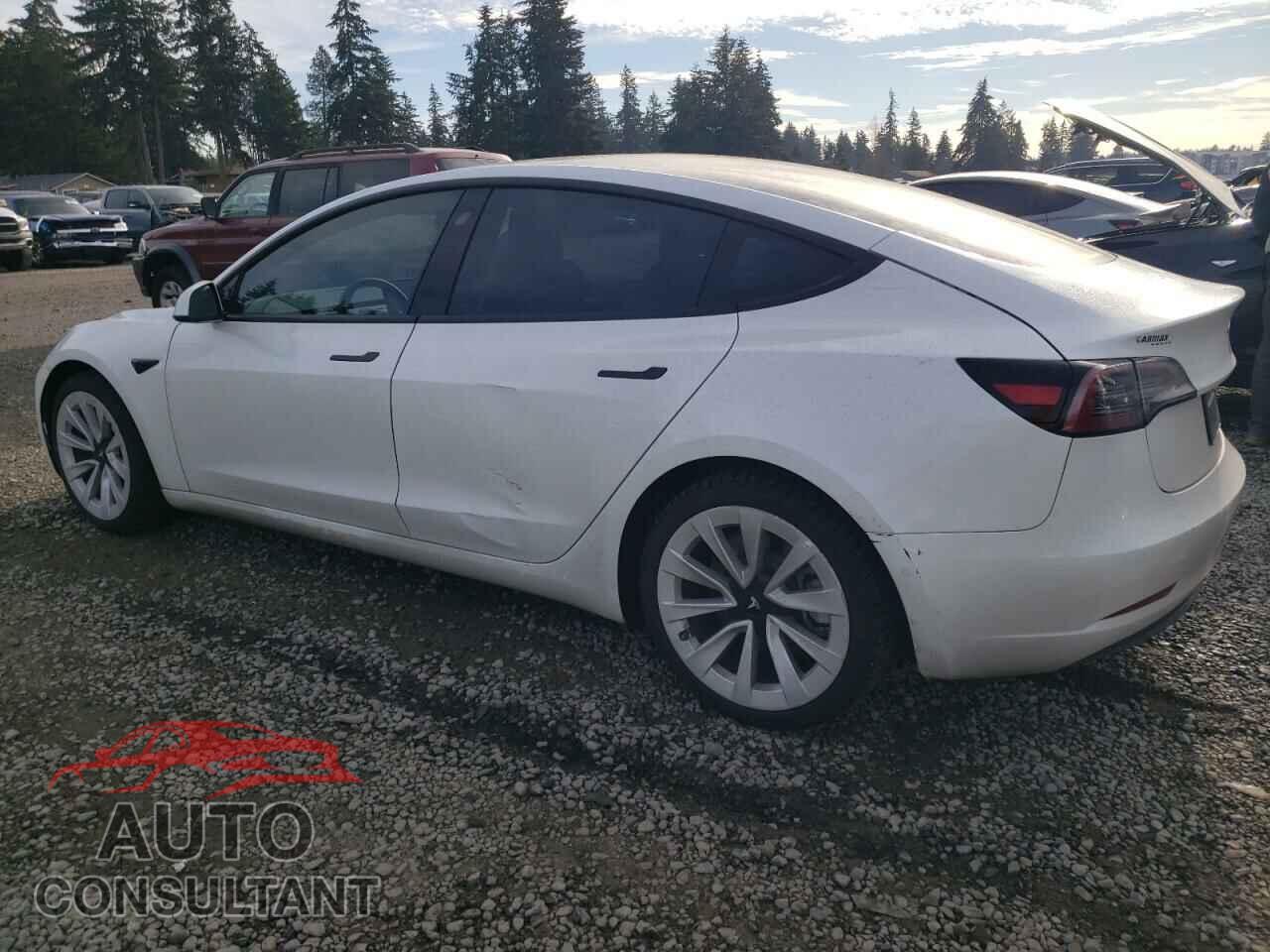 TESLA MODEL 3 2021 - 5YJ3E1EA8MF028044