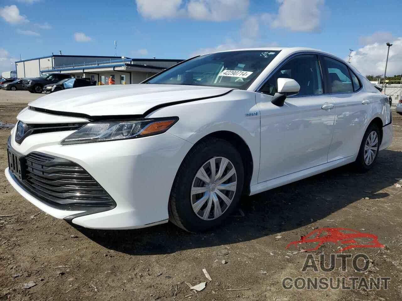 TOYOTA CAMRY 2019 - 4T1B31HK9KU513718