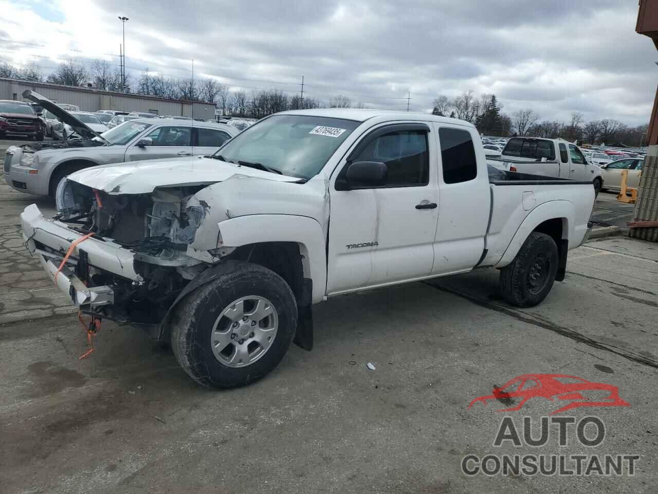 TOYOTA TACOMA 2009 - 5TETU62N49Z670872