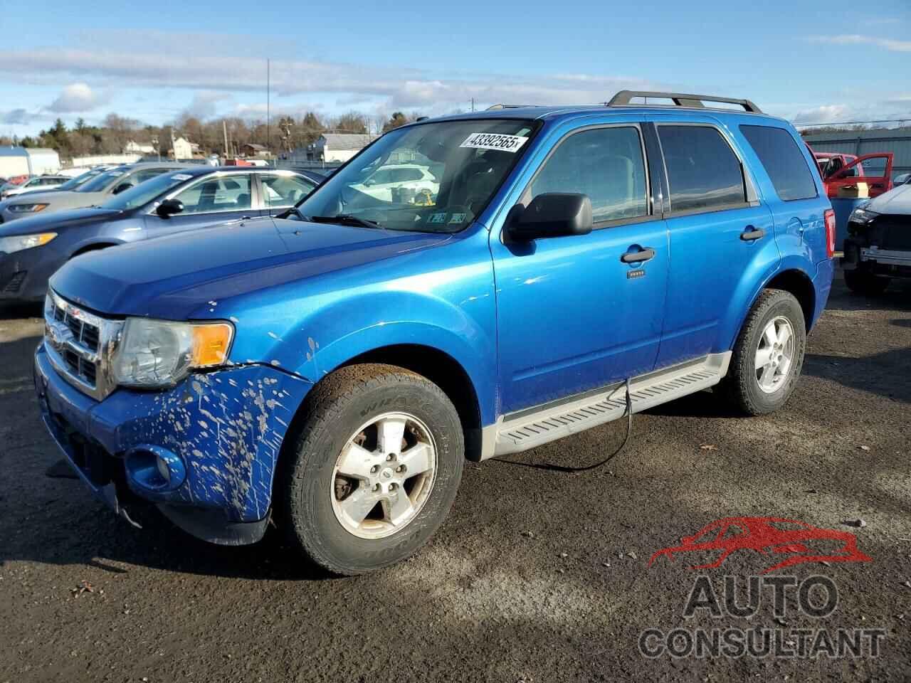 FORD ESCAPE 2011 - 1FMCU9DG7BKB41003