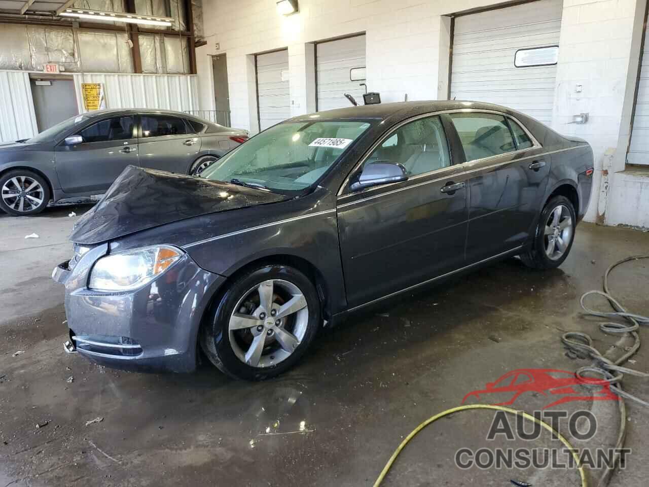 CHEVROLET MALIBU 2011 - 1G1ZC5E14BF334196