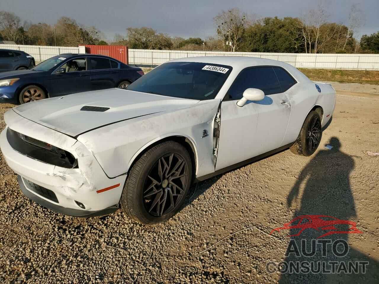 DODGE CHALLENGER 2017 - 2C3CDZBT3HH519309