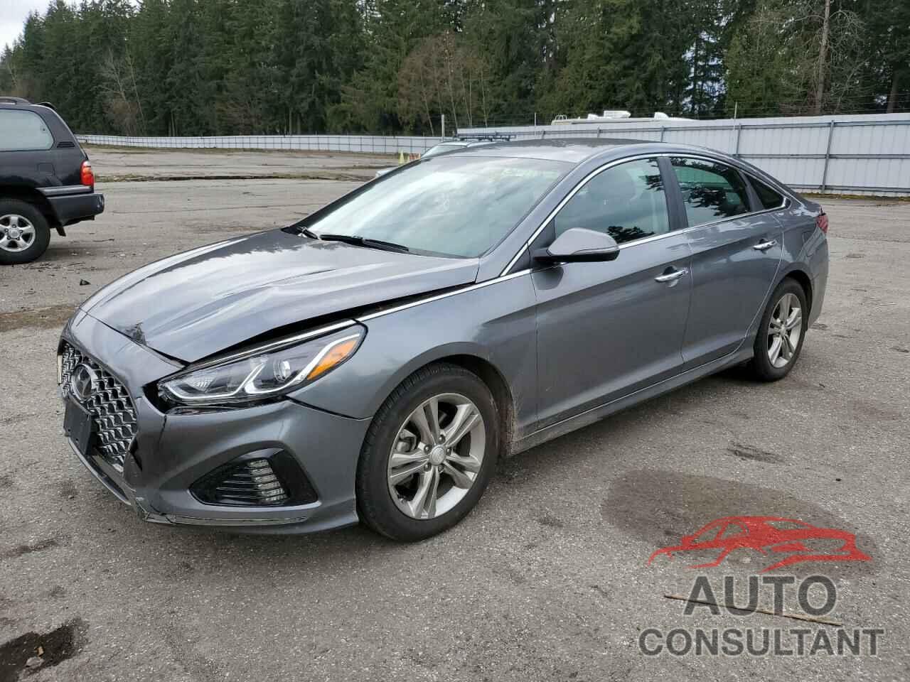 HYUNDAI SONATA 2019 - 5NPE34AF8KH761405